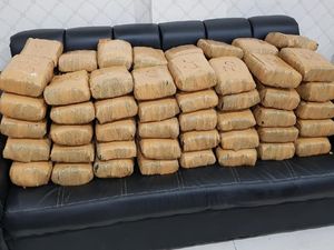 Penyelundupan 92 Kg Ganja ke Jakarta Digagalkan di Lampung