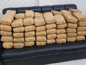 Penyelundupan 92 Kg Ganja ke Jakarta Digagalkan di Lampung