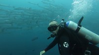 Ada banyak spot diving di sini (My Trip My Adventure)