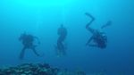 Foto: Dahsyatnya Alam Bawah Laut Wakatobi