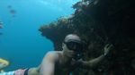 Foto: Dahsyatnya Alam Bawah Laut Wakatobi