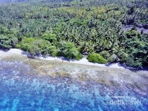 Pulau Komplit Destinasi Wisata Itu Bernama Bacan