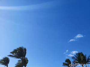 Hawaii yang Bermimpi Jadi Surga Teknologi