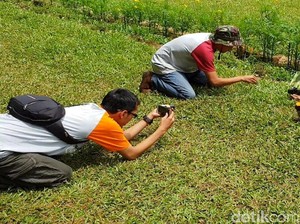 Keseruan Berburu Objek Ala Makro Fotografi Sukabumi
