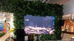 Potret Paviliun Indonesia yang Kosong Melompong di COP24