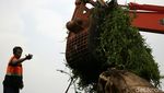 Pembersihan Sampah Dari Kanal Banjir Timur