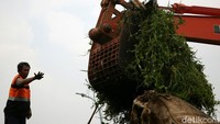 Sebanyak 24 kubik ton sampah diangkut dengan menggunakan 2 truk.