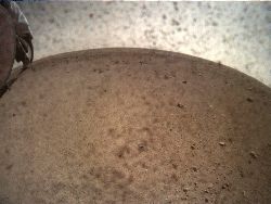 Yuk Lihat Kiriman Potret Robot InSight dari Mars