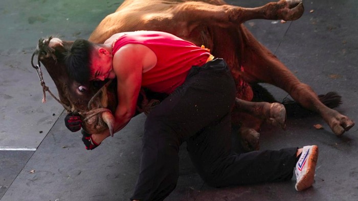 Gulat Banteng, Olahraga di China Menggabungkan Kung Fu dan Adu Banteng