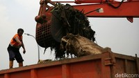 Pekerja dari unit pelaksana kegiatan badan air Jakarta mengangkut sampah dengan menggunakan alat berat dari Kanal Banjir Timur di Cipinang, Jakarta Timur, Senin (10/12/2018).