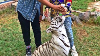 Sang ayah termasuk orang terkaya di sana, diestimasi hartanya USD 2,5 miliar. Tak heran jika Rashed bergelimang harta dan sering menunjukkanya ke Instagram. Mereka punya kebun binatang pribadi di rumah yang super luas. Foto: Instagram
