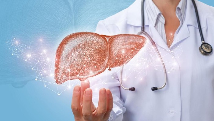 76+ Gambar Organ Hati Yang Rusak Paling Hist 76+ Gambar Organ Hati Yang Rusak Paling Hist