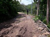 (Pradito Rida Pertana/detikTravel)