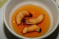 Selain Pho, Vietnam Punya Ulat Kelapa Hidup yang Enak Buat Camilan