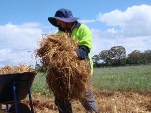 Warga Asing Berketerampilan Rendah Bisa Tinggal Permanen di Australia