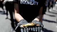 Massa yang terdiri dari para aktivis pecinta hewan Animal Equality menggelar aksi unjuk rasa di Paulista avenue di Sao Paulo, Brasil, Minggu (9/12/2018) waktu setempat. Massa membawa serta bangkai hewan sebagai bentuk protes.