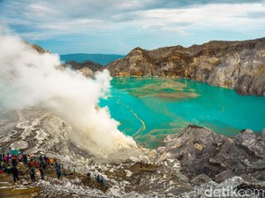 Cocok untuk Famtrip, Banyuwangi Punya Semua yang Wisatawan Butuhkan