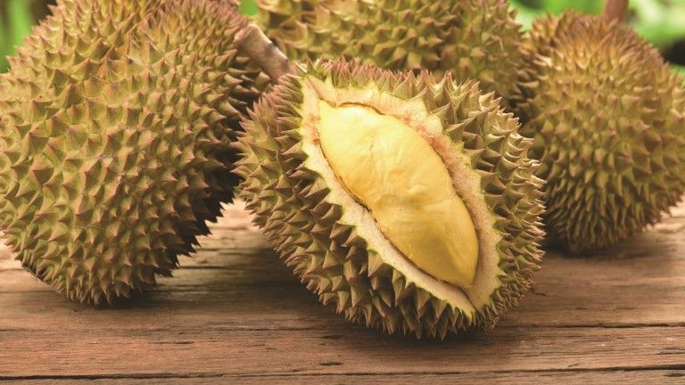 penipuan musang king