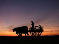 Review Fujifilm GFX 50R, Kamera Ringkas dan Ringan di Kelasnya