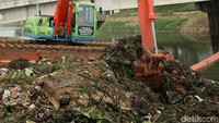 Pemerintah DKI Jakarta di musim penghujan ini terus menerus mengangkat sampah dari aliran sungai guna mencegah dan mengatasi banjir.