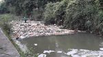 Penampakan Tumpukan Sampah di Kali Samping Unisma Bekasi