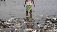 World Economic Forum pada 2016 menyatakan ada lebih dari 150 juta ton plastik di samudra planet ini. Tiap tahun, 8 juta ton plastik mengalir ke laut. Padahal plastik bisa berumur ratusan tahun di lautan dan terurai menjadi partikel kecil dalam waktu yang lebih lama lagi. Plastik bakal terakumulasi terus dan terus di laut.