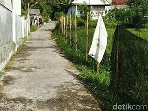Gunung Semeru Bertopi Awan, Ini Kata Kepala Resort Ranupane