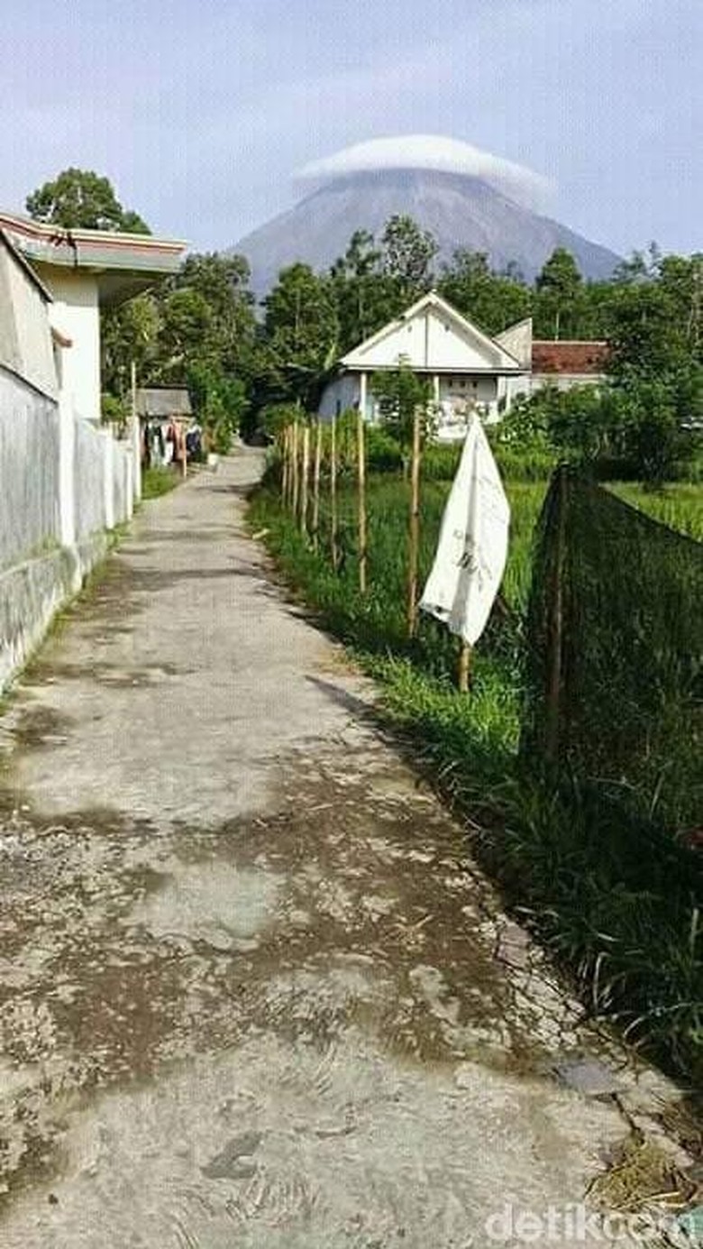 Gunung Semeru Bertopi Awan, Ini Kata Kepala Resort Ranupane Gunung Semeru Bertopi Awan, Ini Kata Kepala Resort Ranupane