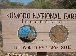 4.556 Warga Ini Terancam Penghasilannya Jika Komodo Ditutup