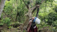 Menjajal flying fox yang menantang (rosesarered_23/Instagram)