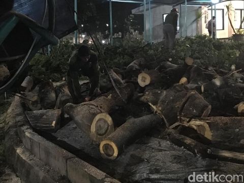 Petugas masih memtotong dahan pohon besar yang tumbang itu untuk dievakuasi