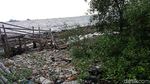 Foto: Sampah Menghampar di Pantai Marunda