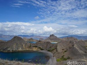 Bupati Sebut Penutupan TN Komodo Tidak Efektif