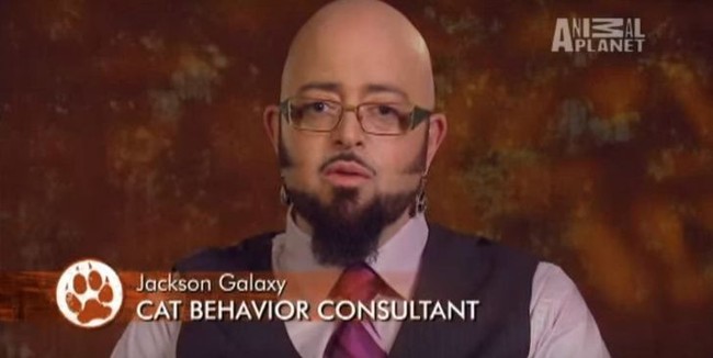 Jackson Galaxy sering tampil di Animal Planet untuk mewakili para kucing dalam hal kelakuan mereka yang sulit dimengerti manusia. Foto: istimewa