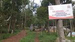 Foto: Liburan Naik Gunung Burangrang