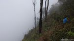 Foto: Liburan Naik Gunung Burangrang