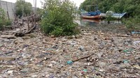 Foto: Pohon bakau yang seharusnya dikelilingi oleh air, namun hal ini berbeda. Justru tumpukan sampah lah yang mendominasi sekeliling pohon bakau tersebut. (Eva-detikcom)