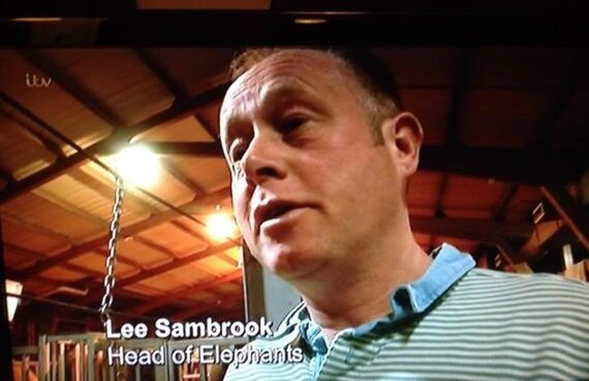 Ternyata ada manusia yang berprofesi sebagai ketua gajah. Pria ini tampaknya bekerja dalam sebuah sirkus. Foto: istimewa