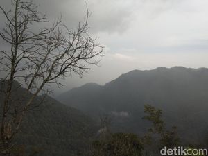 Serunya Naik Gunung Burangrang, Rimba Tempat Latihan Kopassus