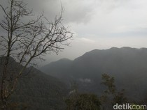 Terkuaknya Misteri Pemetik Kopi yang Hilang Sepekan di Gunung Burangrang