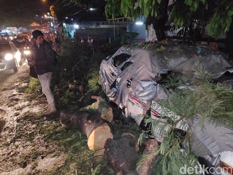 Sebuah mobil tertiban batang pohon