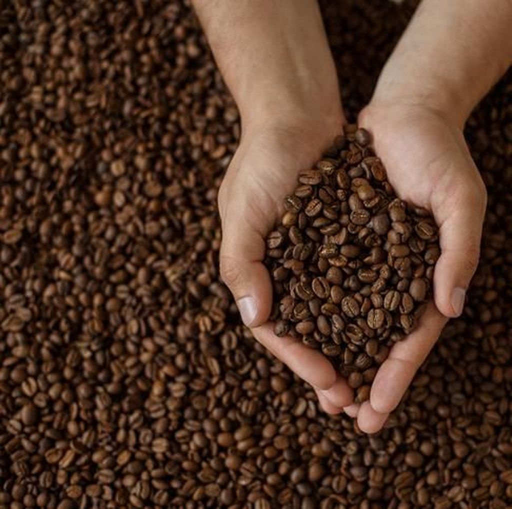 Istimewanya Kopi Flores yang Sudah Mendunia Istimewanya Kopi Flores yang Sudah Mendunia