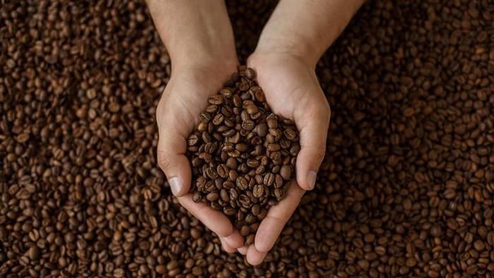 Food and Drink, Raw Coffee Bean, Human Hand, Top View