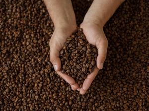 Waduh! 60 Persen Varietas Kopi di Dunia Terancam Punah