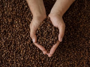 Istimewanya Kopi Flores yang Sudah Mendunia