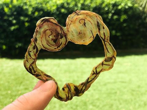 Kisah Bidan yang Raup Penghasilan Rp 156 Juta dari Jualan Plasenta