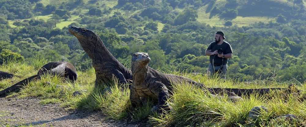 Pulau komodo