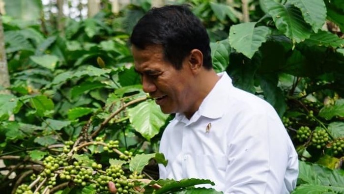 Mentan Sebut Program Cetak Sawah Naik 400% Dibanding 2014