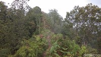 Setelah menempuh perjalanan selama 3 jam, puncak semakin dekat (Muhammad Idris/detikTravel)