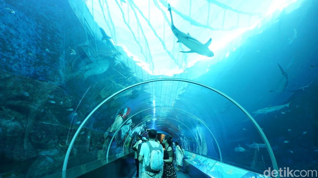 SEA Aquarium di Singapura
